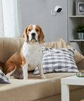 EVO​ 2K Indoor Wi-Fi Camera​ | SWIFI-SE2KIC