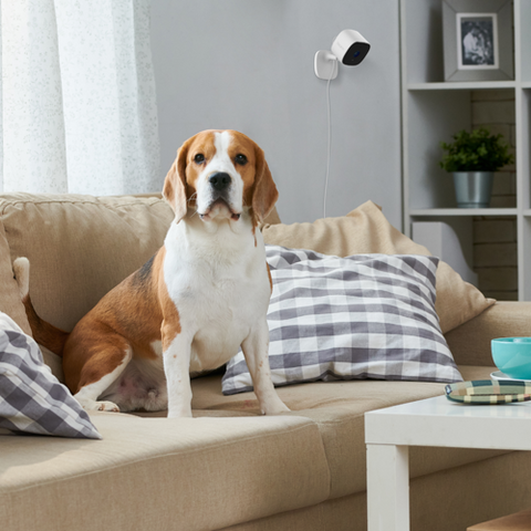 Swann EVO​ 2K Indoor Wi-Fi Camera ​- 2 Pack | SWIFI-SE2KICPK2