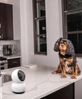 EVO​ Pan & Tilt Wi-Fi Camera​ | SWIFI-SE2KPT