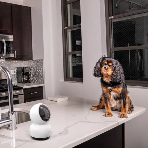 EVO​ Pan & Tilt Wi-Fi Camera​ | SWIFI-SE2KPT